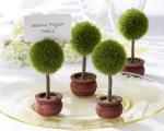 topiary photo holder place card holder